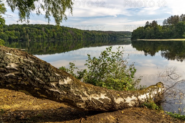 The Möhnesee, reservoir in the northern Sauerland, branch of the Hevesee, Kleine Schmalenau bay, North Rhine-Westphalia, Germany, Europe