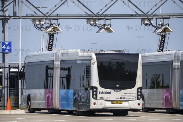 Fast charging station for electric buses at Amsterdam Schiphol Airport, the entire fleet of passenger transport buses is electric, over 200 vehicles, during breaks the buses are recharged via a roof-mounted pantograph, vehicles of the transport company Connexxion, Netherlands