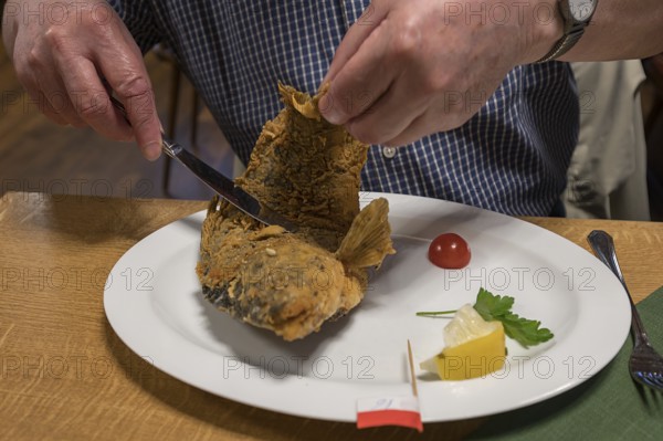 Baked Common carp (Cyprinus carpio) served in an inn, Franconia, Bavaria, Germany, Europe