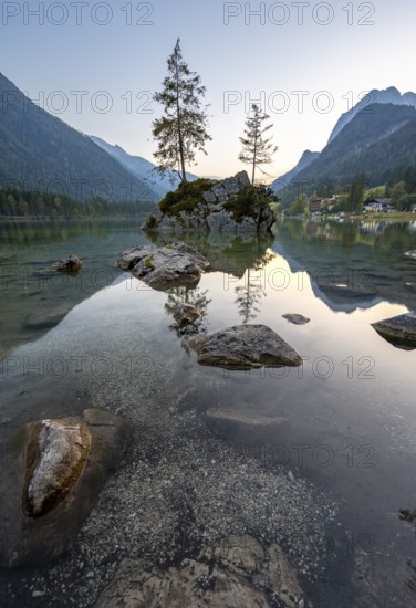 Rocky island with two trees in the lake, reflection in Hintersee, at sunset, Berchtesgaden National Park, Ramsau, Upper Bavaria, Bavaria, Germany, Europe