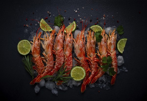 Langoustines, Australian, freshly frozen on ice, top view, lime and greens