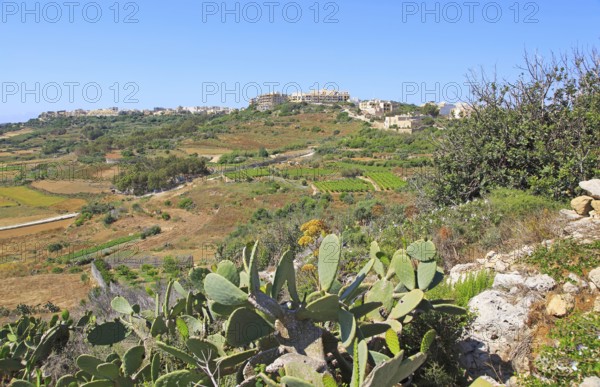 Rural farming landscape hilltop village of Xaghra, island of Gozo, Malta, Europe