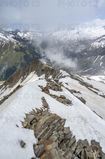 Mountaineer on a rocky ridge with snow, descent from the summit of Schönbichler Horn, view of snow-covered mountain peaks and valley Zemmgrund, Berliner Höhenweg, Zillertal Alps, Tyrol, Austria, Europe