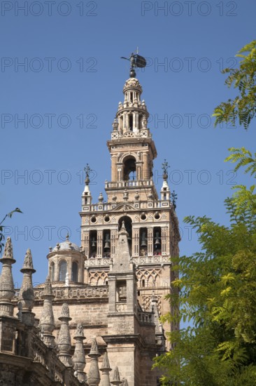 La Giralda tower of the cathedral originally built as a Moorish minaret in the twelfth century, Seville, Spain, Europe