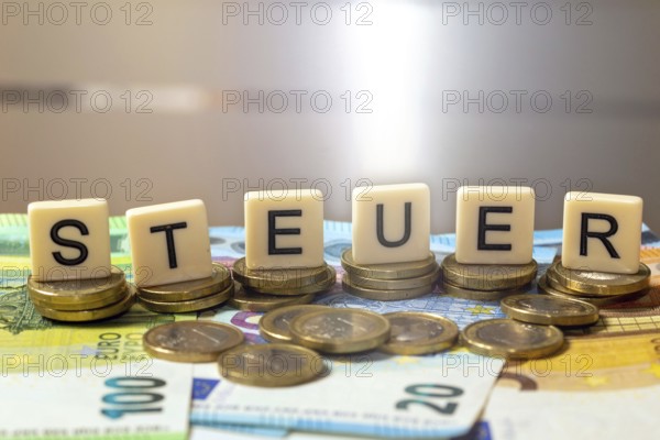 Symbolic image of taxes: The word tax is written on euro coins with letter cubes