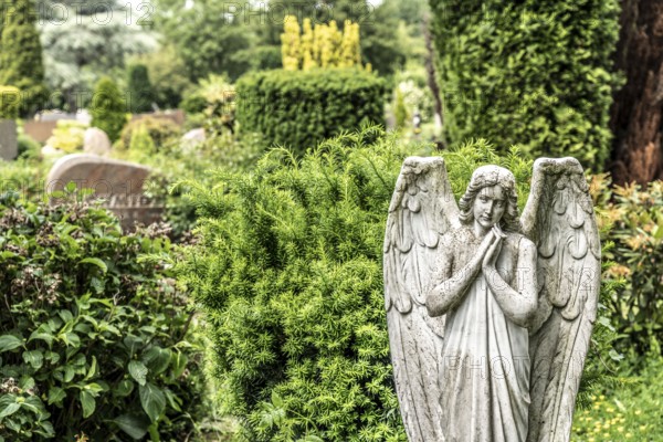 Cemetery, old gravestone, angel figure, North Rhine-Westphalia, Germany, Europe