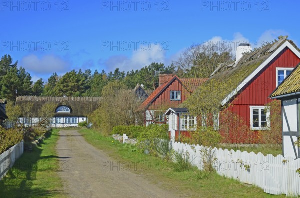 Street in Knäbäckshusen, a small fishing village near Rörum, Simrishamn municipality, Skåne County, Sweden, Scandinavia, Europe