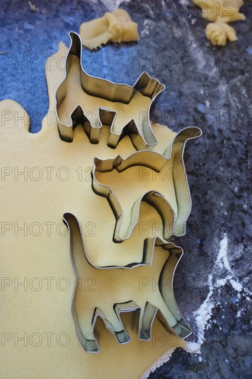 Swabian cuisine, Swabian Christmas biscuits, preparation of cookie cutters, shortbread biscuits, cat figures, cutting out raw dough with moulds, typical Swabian, baking, flour, Christmas biscuits, sweet biscuits, Gutsle, Bredle, baked goods, from the oven, traditional cuisine, food photography, studio, Germany, Europe