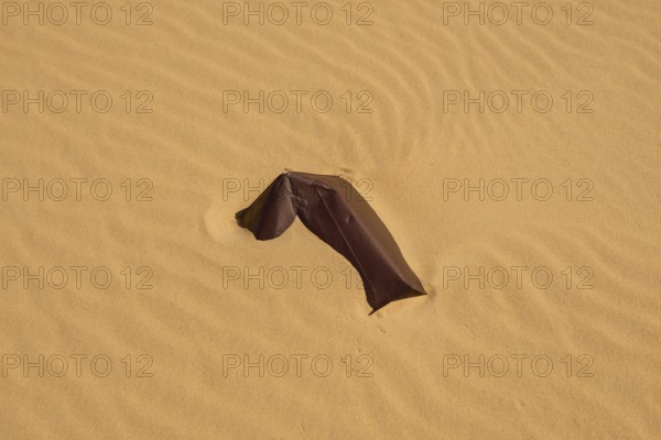 Sheet metal fragment on a sandy surface in the desert, Matruh, Great Sand Sea, Libyan Desert, Sahara, Egypt, North Africa, Africa