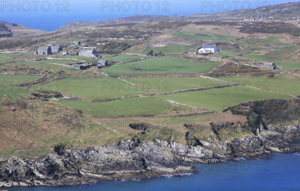 Farmhouses on headland, South Harbour, Cape Clear Island, County Cork, Ireland, Irish Republic, Europe