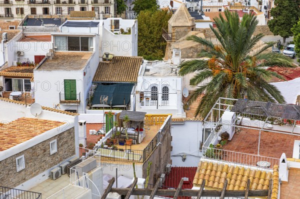 Above the rooftops of Eivissa's old town, Ibiza Town, Ibiza, Balearic Islands, Mediterranean, Spain, Europe