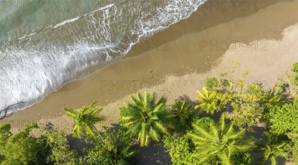 Aerial view, Top Down, Panorama, Marino Ballena National Park, Osa National Park, dream beach and sea of the South Pacific, Puntarenas Province, Osa, Costa Rica, Central America