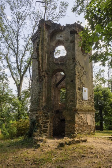 The Blechburg is a ruined former lookout tower with a viewing bastion at the northern end of the Jägerberg on the Wahnsdorfer Flur in the town of Radebeul in Saxony. The ruin stands in the middle of a forest that has grown up in recent decades on the edge of the slope at around 235 metres, Radebeul Weinhänge, Radebeul, Saxony, Germany, Europe