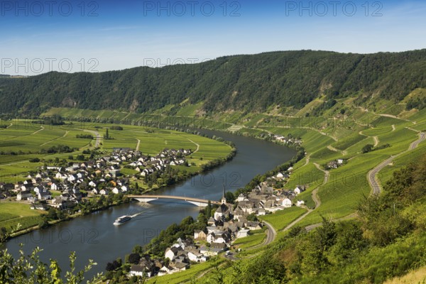 Picturesque village by the river and in the vineyards, Piesport, Moselle, Rhineland-Palatinate, Germany, Europe