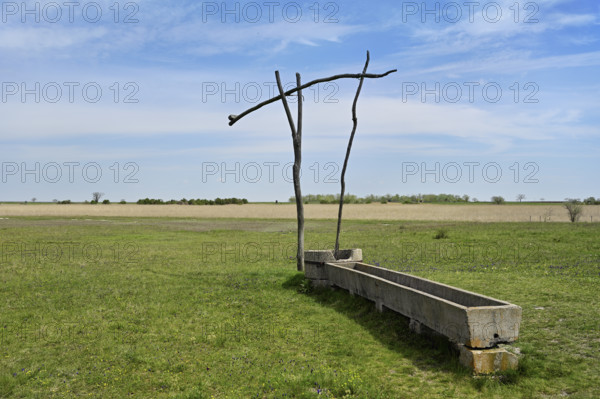 Ziehbrunnen, Illmitz, Lake Neusiedl National Park, Seewinkel, Burgenland, Austria, Europe