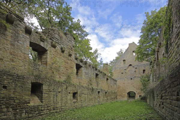 Disibodenberg Monastery built 14th century, ruin, Odernheim am Glan, Rhineland-Palatinate, Germany, Europe