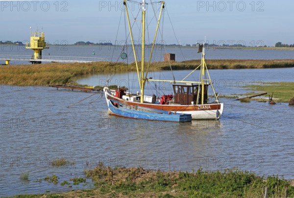 Fishing cutter Diana, Ems, Terborg, East Frisia, Germany, Europe