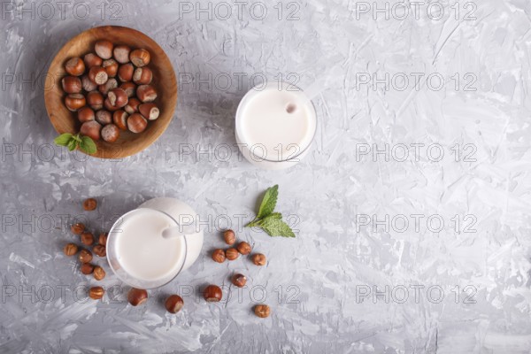 Organic non dairy hazelnut milk in glass and wooden plate with hazelnuts on a gray concrete background. Vegan healthy food concept, flat lay, top view, copy space