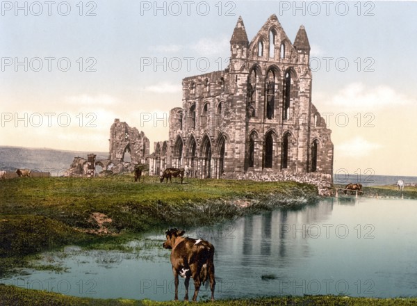 Whitby Abbey, Whitby Abbey, a former monastery in Whitby, a historic harbour town on the North Sea coast of the county of Yorkshire in England, c. 1890, Historic, digitally restored reproduction from a 19th century original Whitby Abbey, a former monastery in Whitby, a historic harbour town on the North Sea coast of the county of Yorkshire in England, c. 1890, Historic, digitally restored reproduction from a 19th century original