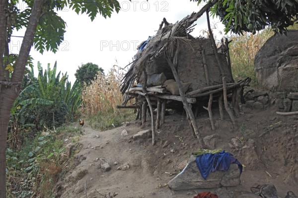 South Ethiopia, shelter for animals in a small Ari village, Ari Village near Jinka, Ethiopia, Africa