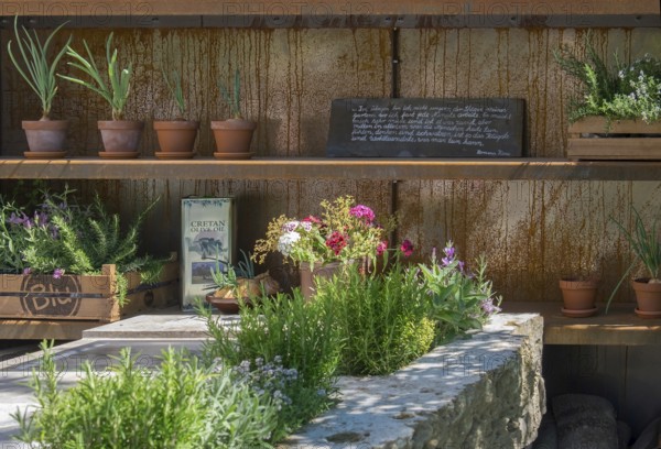 Rustic wooden shelf with clay pots and various plants, a stone table with herbs and a chalkboard in the background, Landesgartenschau Bad Lippspringe, North Rhine-Westphalia, Germany, Europe