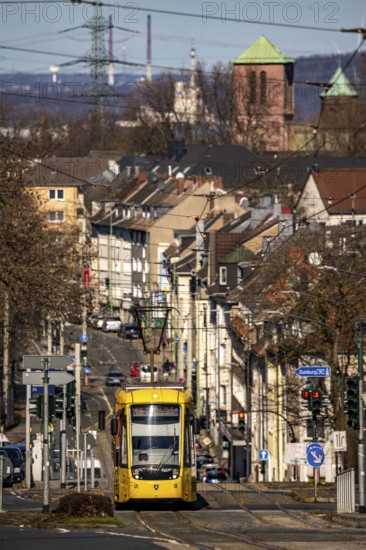 Ruhrbahn tram, city centre traffic, Hobeisenstrasse, in front, Martin-Luther-Strasse, in the extension, Essen-Holsterhausen, Essen, North Rhine-Westphalia, Germany, Europe