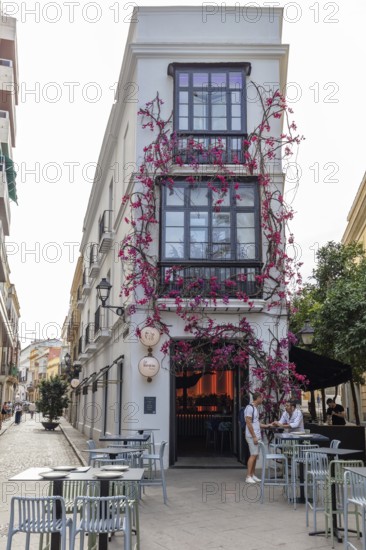 A narrow building with a bougainvillea roof and an outdoor café on an alley, Jerez