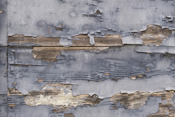 Old wooden door with peeling paint, texture, background, Apulia, Italy, Europe