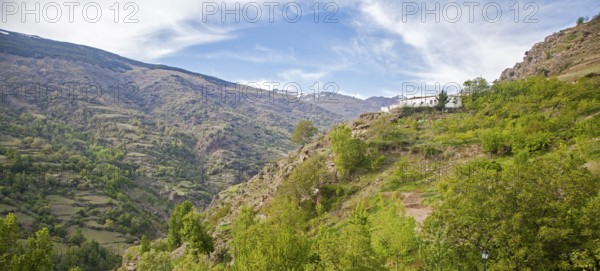 View of Poqueira gorge and Sierra Nevada mountains, High Alpujarras, Sierra Nevada, Granada province, Spain, Europe