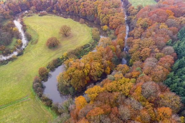 Aerial view of the Hunte in autumn, Meander, Hunte loop, Hunte, river, tree, forest, autumn colours, Huntepadd, Dötlingen, Lower Saxony, Germany, Europe