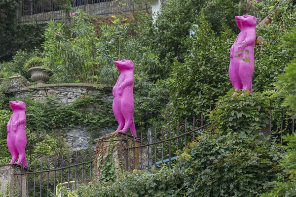 Pink meerkats in a garden in the harbour of Potofino, Italy, Europe