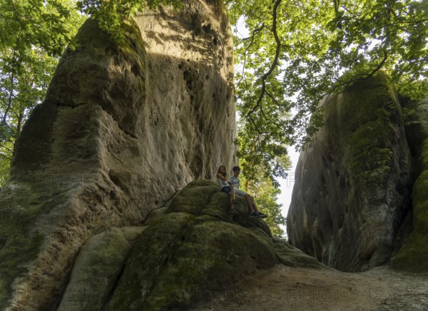 Large rocks in the forest, elephant stones, Lusatian Mountains, Czech Republic, Europe