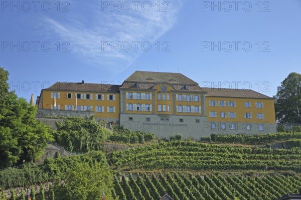 Former riding centre and present state winery with vineyards, winery, palace, Meersburg, Obersee, Lake Constance, Lake Constance region, Baden-Württemberg, Germany, Europe