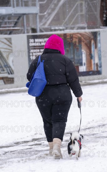 Winter in the city, woman with a small dog on a lead walking through a snowy street, slush, Germany, Europe