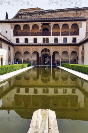 Myrtle courtyard with water basin, arabesque Moorish architecture, Patio de los Arrayanes, Comares Palace, Nasrid Palaces, Alhambra, Granada, Andalusia, Spain, Europe