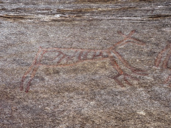 Prehistoric rock art at Bogge, petroglyphs between Eidsvåg and Eresfjord, More og Romsdal, Norway, Europe