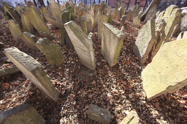 The Old Jewish Cemetery in the Josefov district is one of the most historically significant Jewish cemeteries in Europe. It contains over 12, 000 gravestones and presumably the remains of 100, 000 people, Prague, Czech Republic, Europe