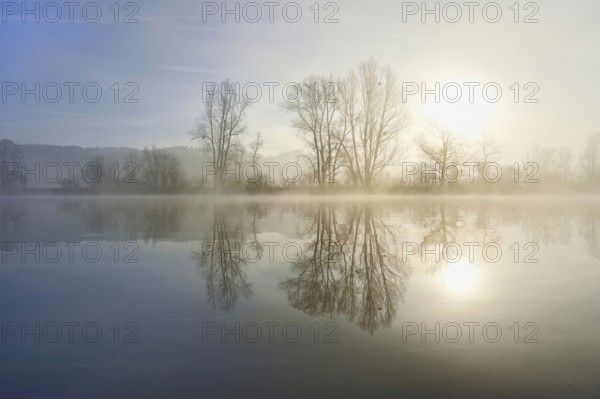 Trees reflected in the shallow lake at sunrise, nature reserve, Rottenschwil, Freiamt, Canton Aargau, Switzerland, Europe