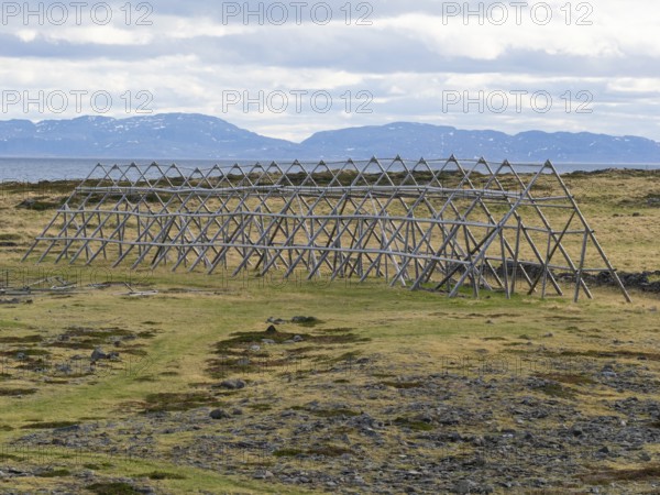 Drying racks for caught fish, on the shore of the Arctic Ocean, once a big industry and economic factor in the area, but the industry has been rendered obsolete since the decline of the fish populations and modern processing methods and techniques for caught fish on factory fish catching trawlers, May, Varanger Fjord, Norway, Europe