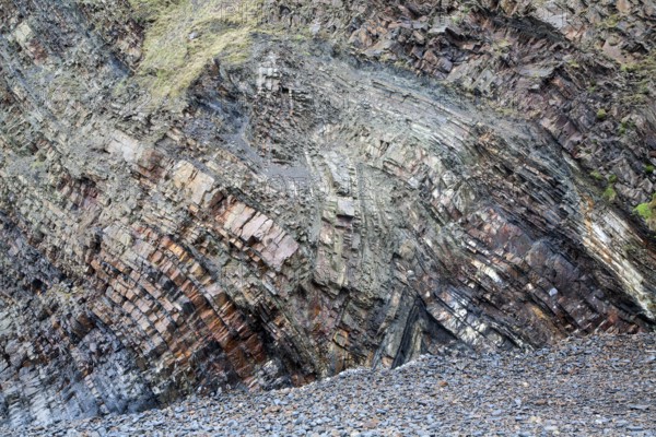 Complex folding of sedimentary rock strata in coastal cliffs at Hartland Quay, north Devon, England, United Kingdom, Europe