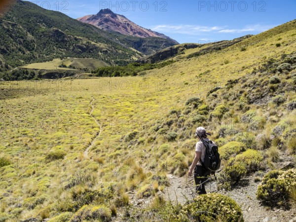 Woman on hiking trail 'Aviles loop', Park Patagonia, east of Cochrane on road to argentinian border at Paso Roballos, Patagonia, Chile, South America