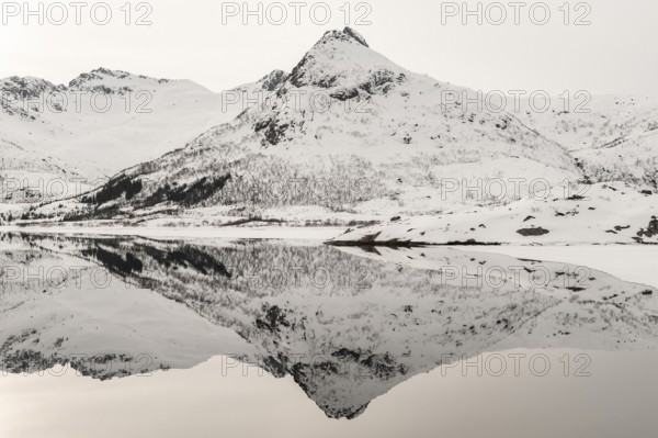 Mountains reflected in the fjord, Sildpollneset, Austvågøya, Lofoten, Norway, Europe