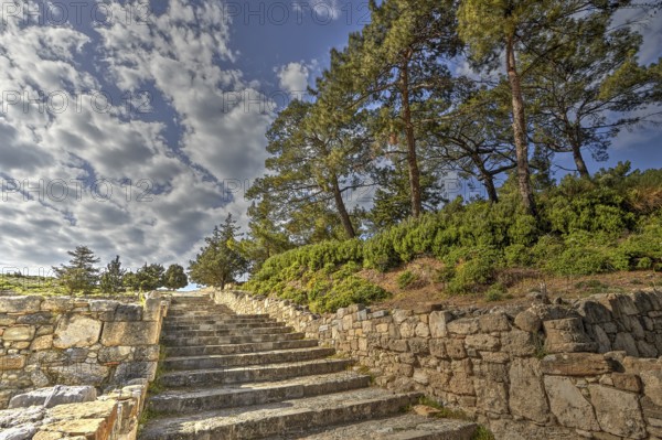 HDR, super wide angle shot, stone stairs between ancient walls, surrounded by trees and vegetation, blue sky in the background, Kamiros, archaeological site, ancient city, foundation of Doric Greeks, Rhodes, Dodecanese, Greek Islands, Greece, Europe