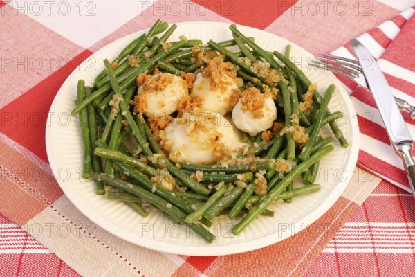 Swabian cuisine, yeast dumplings with green beans, breadcrumbs, served on a plate, typical Swabian, traditional cuisine, studio, food recording, Germany, Europe