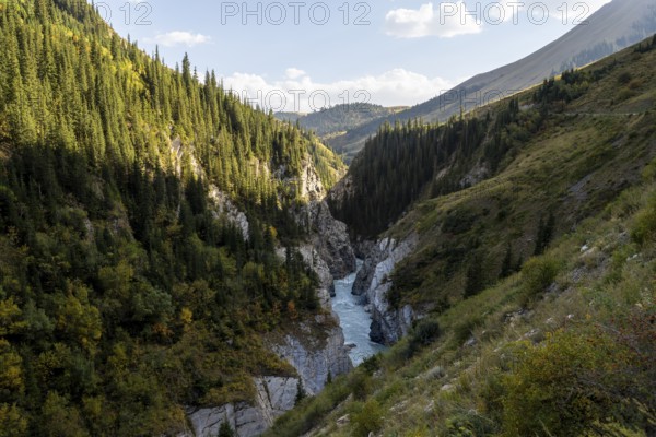 Mountain landscape with river in a narrow mountain valley in autumn, Little Naryn or Kichi-Naryn, Eki-Naryn Gorge, Naryn Province, Kyrgyzstan, Asia