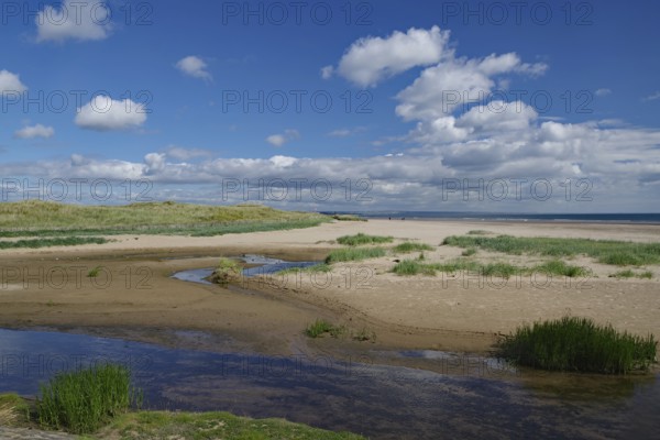 Wide sand dune landscape with grasses and a small watercourse under a clear blue sky with clouds, St. Andrews, Scotland, Great Britain