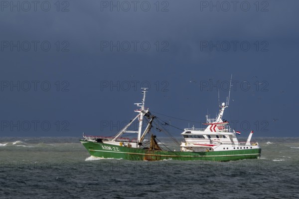 Dutch trawler Klaas Adriana ARM-22 bottom trawling and electric pulse fishing along the North Sea coast in Zeeland, Netherlands on a rainy day