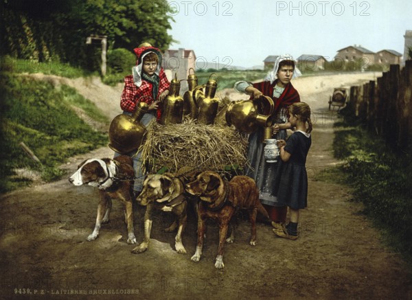 Milk seller with a cart pulled by dogs, bar, Brussels, Belgium, ca 1895, Historic, digitally restored reproduction from a 19th century original, Record date not stated, Europe