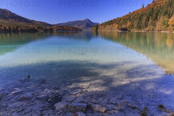 Autumn mood, lake, mountains, autumn colours, sunny, friendly, Walchensee, Bavaria, Germany, Europe