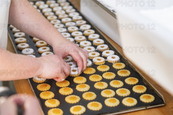 Two hands decorating double-layered round biscuits on a baking tray, Christmas baking, Black Forest, Germany, Europe